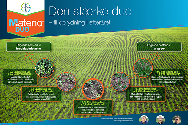 Forside af Mateno Duo onepager